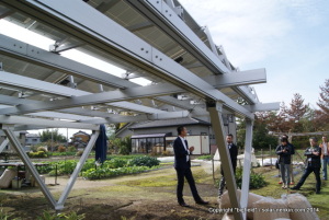 太陽王子のソーラーシェアリング発電所では脚がＶ字型の架台を採用