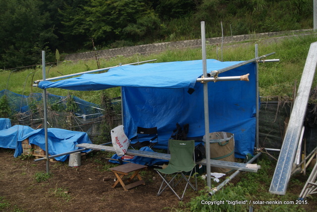 単管パイプとブルーシートで作った仮設テント