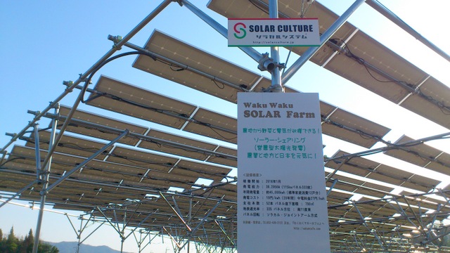 東広島のソーラーシェアリング「Waku Waku Solar Farm」
