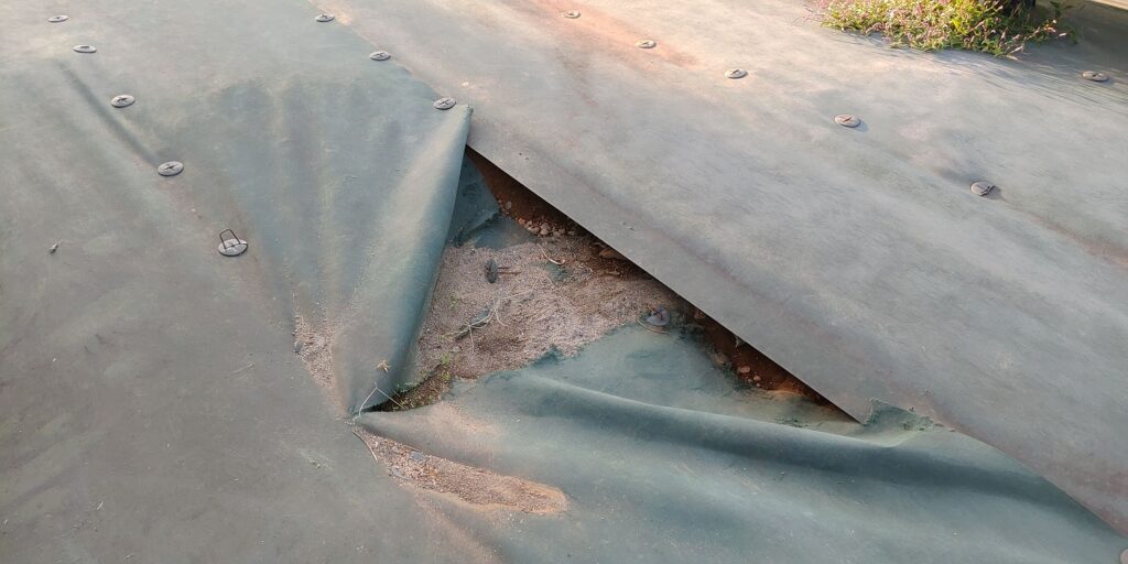 鹿嶋の太陽光発電所5号基でアレイ間で発見した防草シートの破損と穴。
