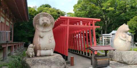 屋島寺の名物「太三郎狸」