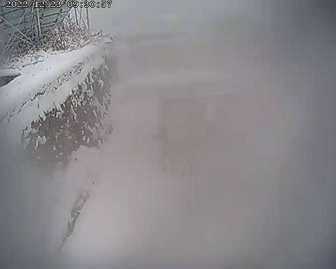 大雪の現地を撮影した防犯カメラの画像